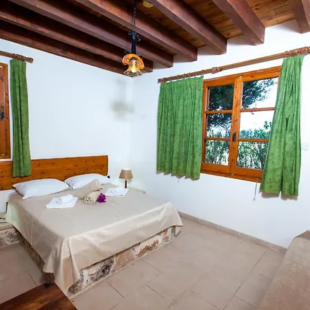 Olive Grove 3 Вилла Пафос