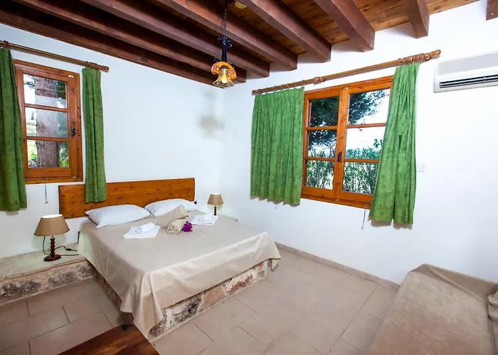 Olive Grove 3 Villa Paphos