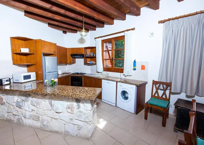 Olive Grove 3 Villa Paphos