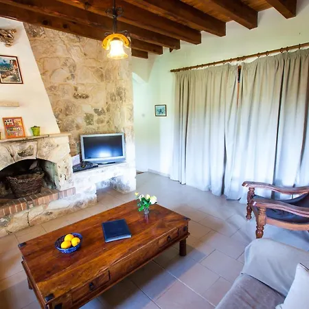 Olive Grove 3 Villa Paphos