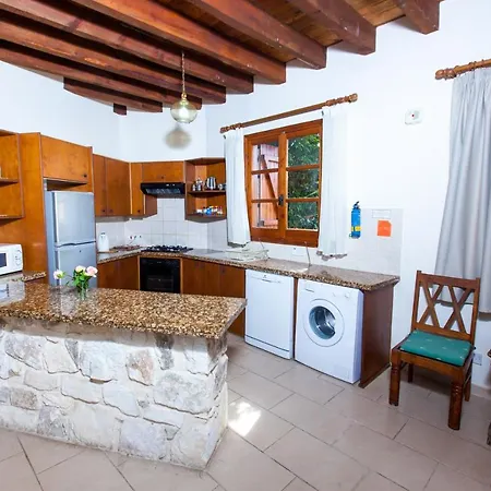 Olive Grove 3 Villa Paphos